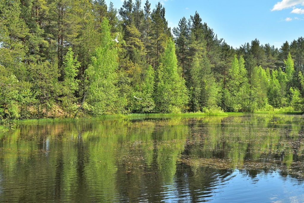 A river flowing through landscape